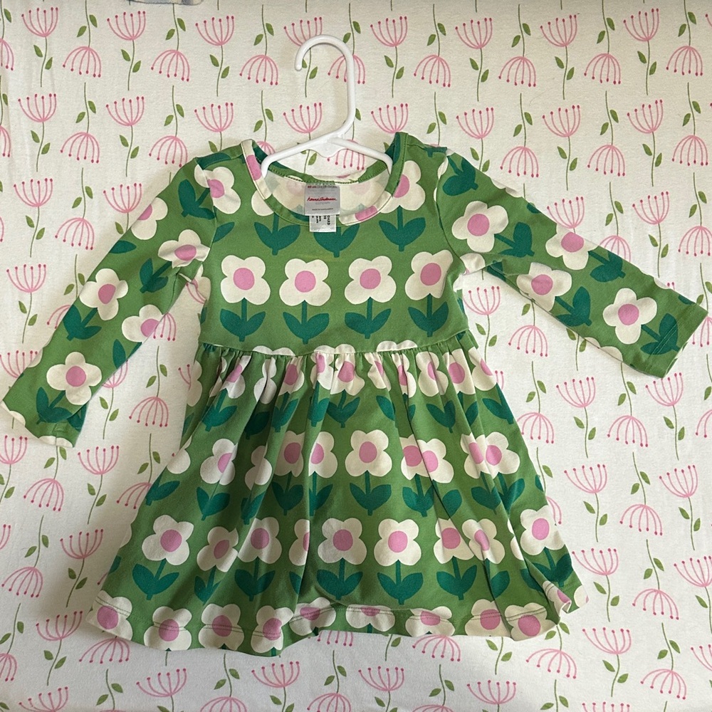 Hanna Andersson Green and Pink Floral Dress